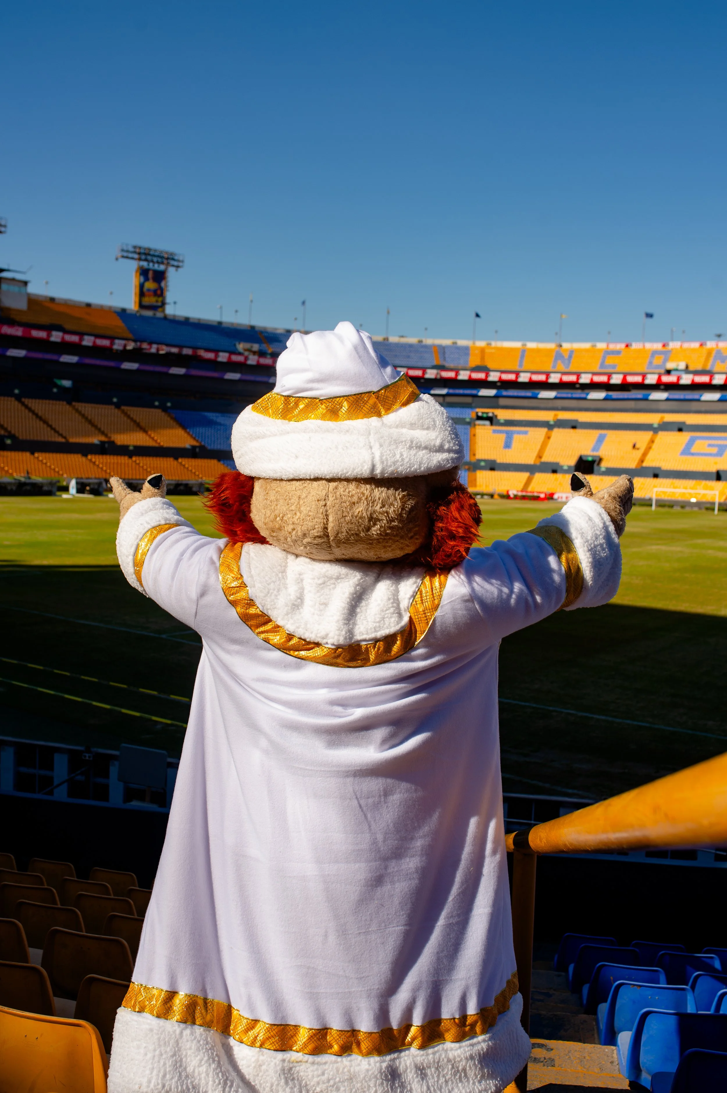 t navidad 2024-24.jpg