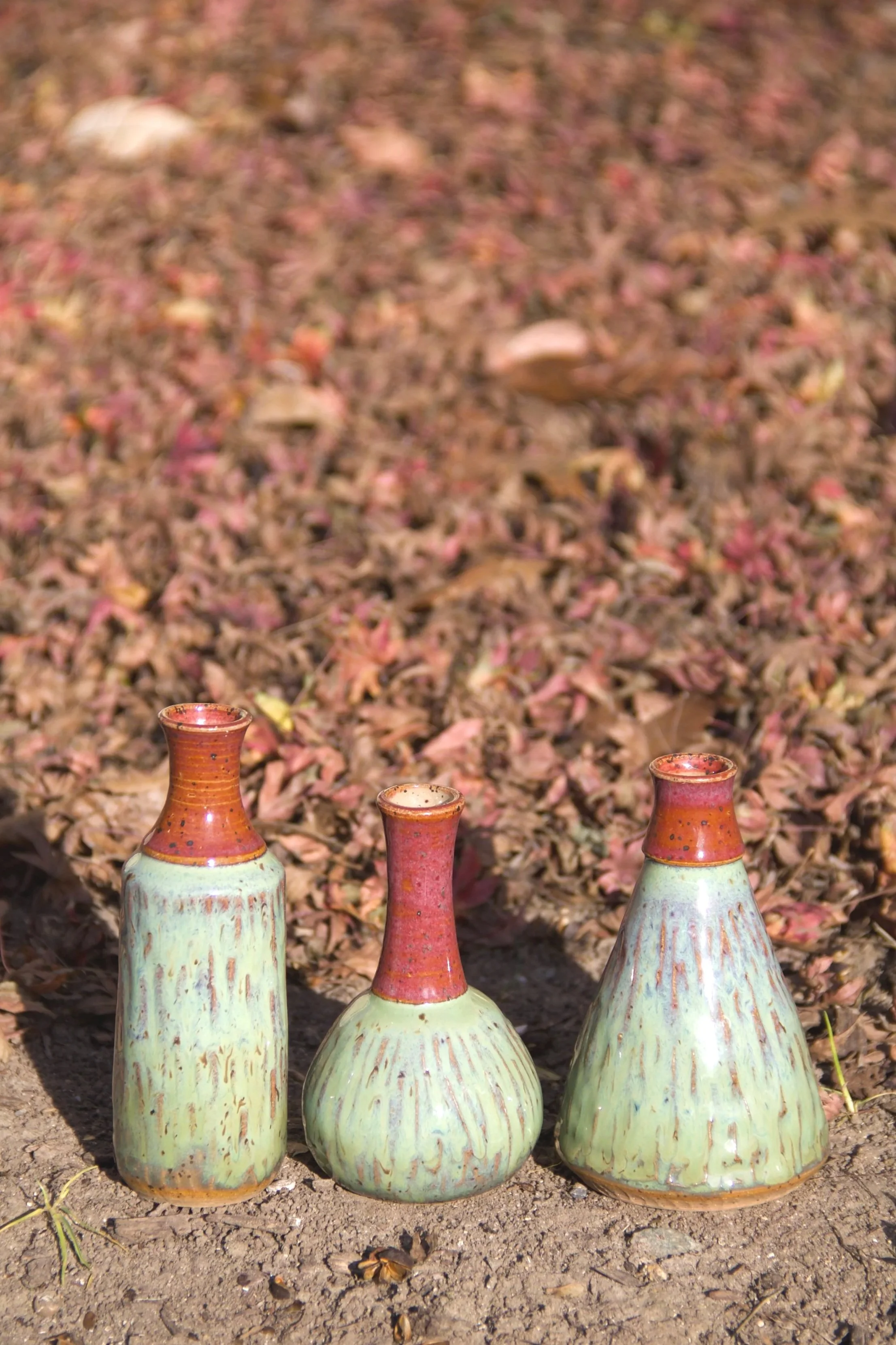 Dragonfruit Budvases