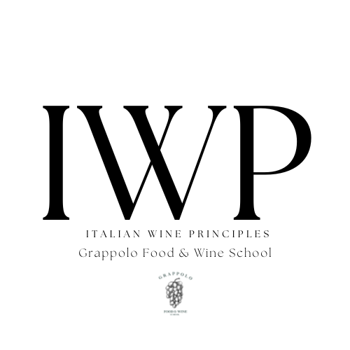 Wine Education In Denver Offering A Range Of Wine Classes wine-education-in-denver-offering-a-range-of-wine-classes