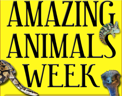 Amazing Animal Week