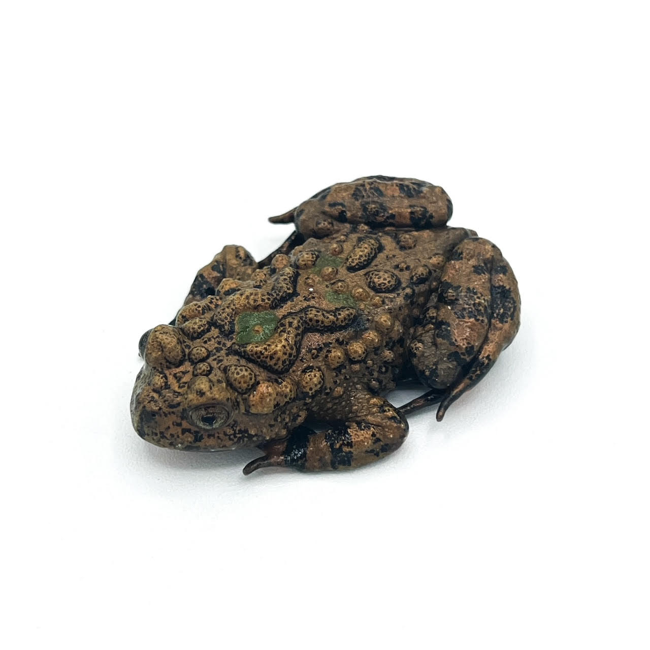 small webbed bell.png