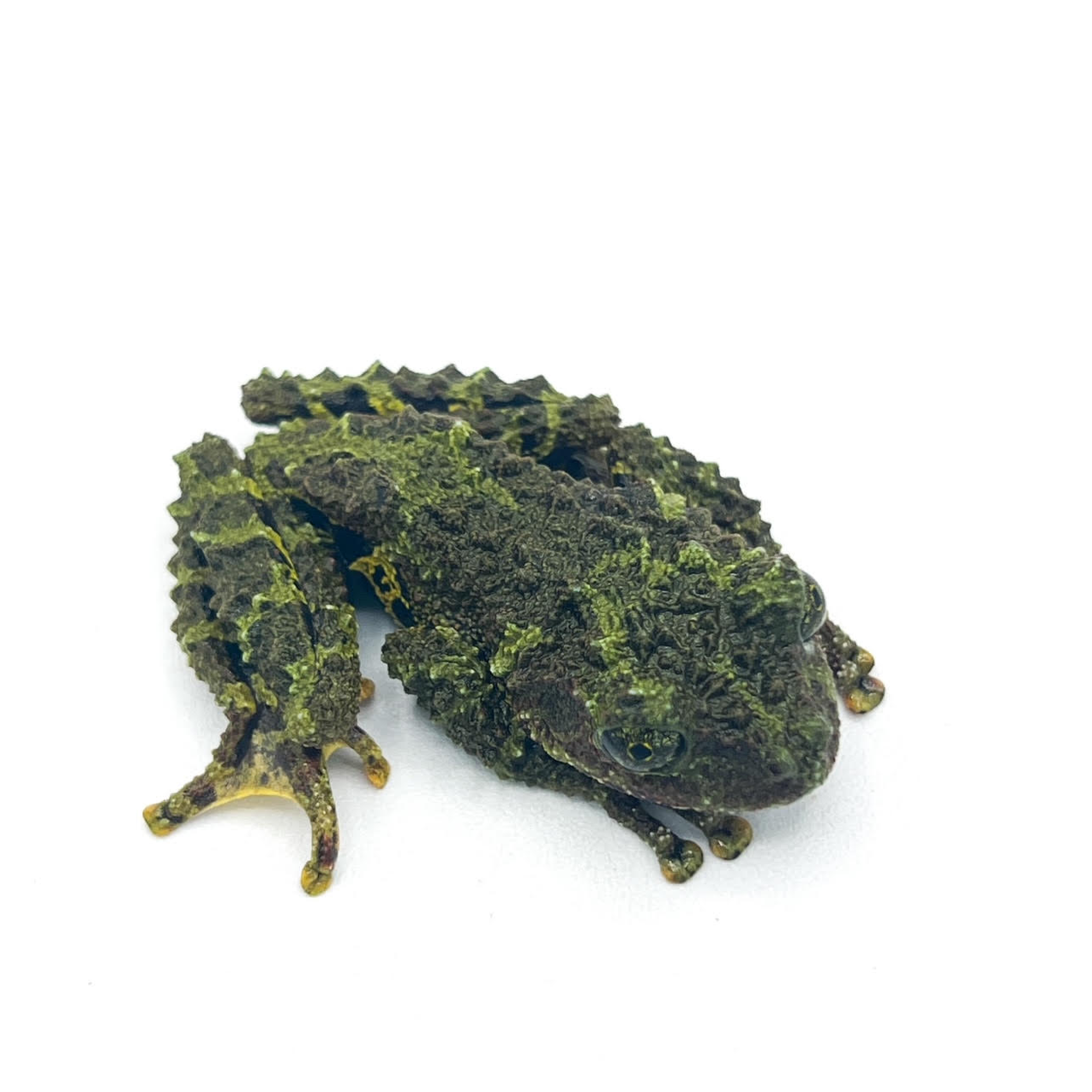 mossy.png