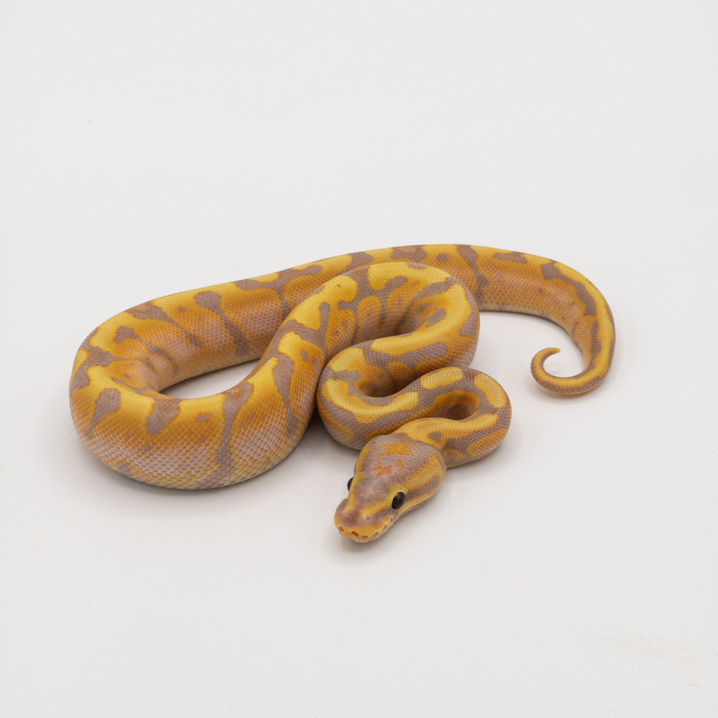 ball banana.png