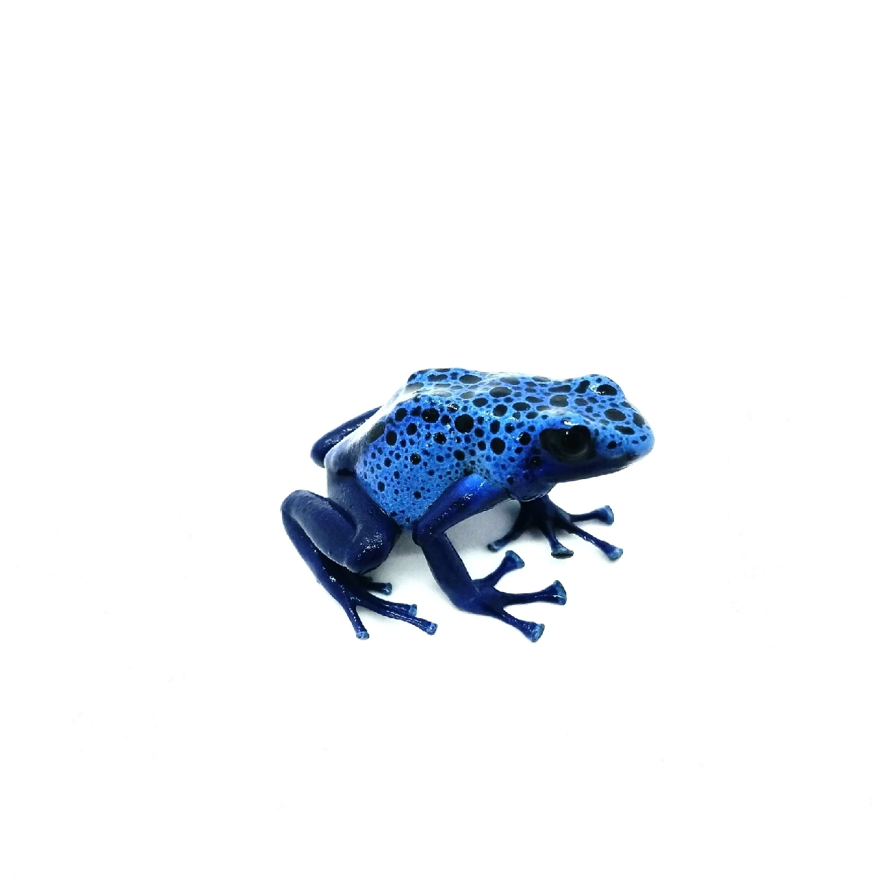 azure.png