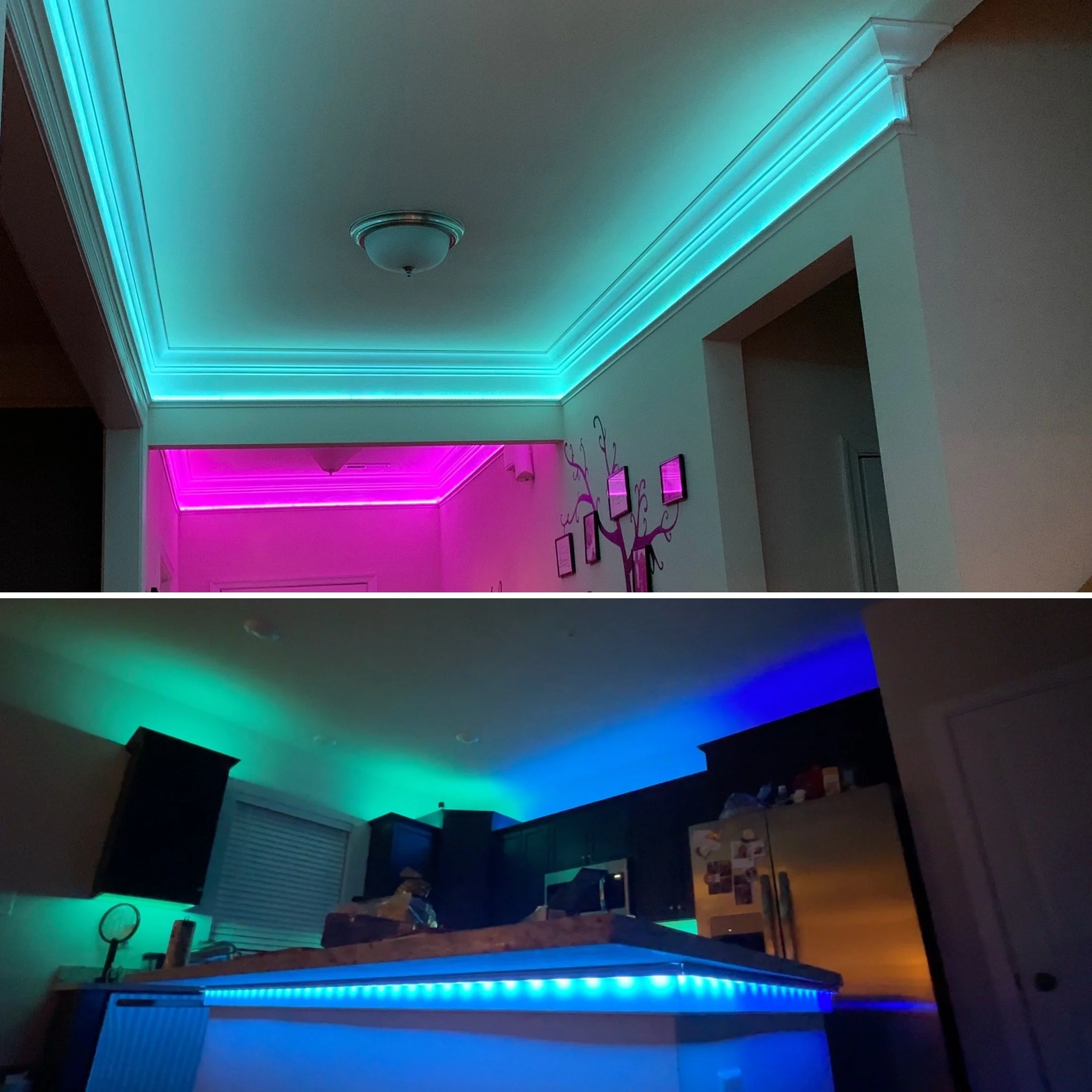 Premium / Custom Lighting