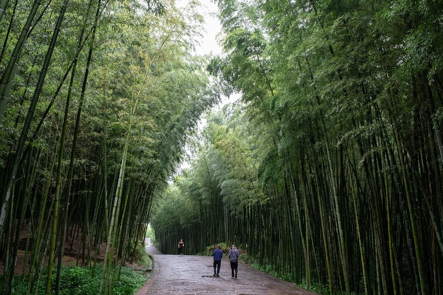 SICHUAN_6.jpg