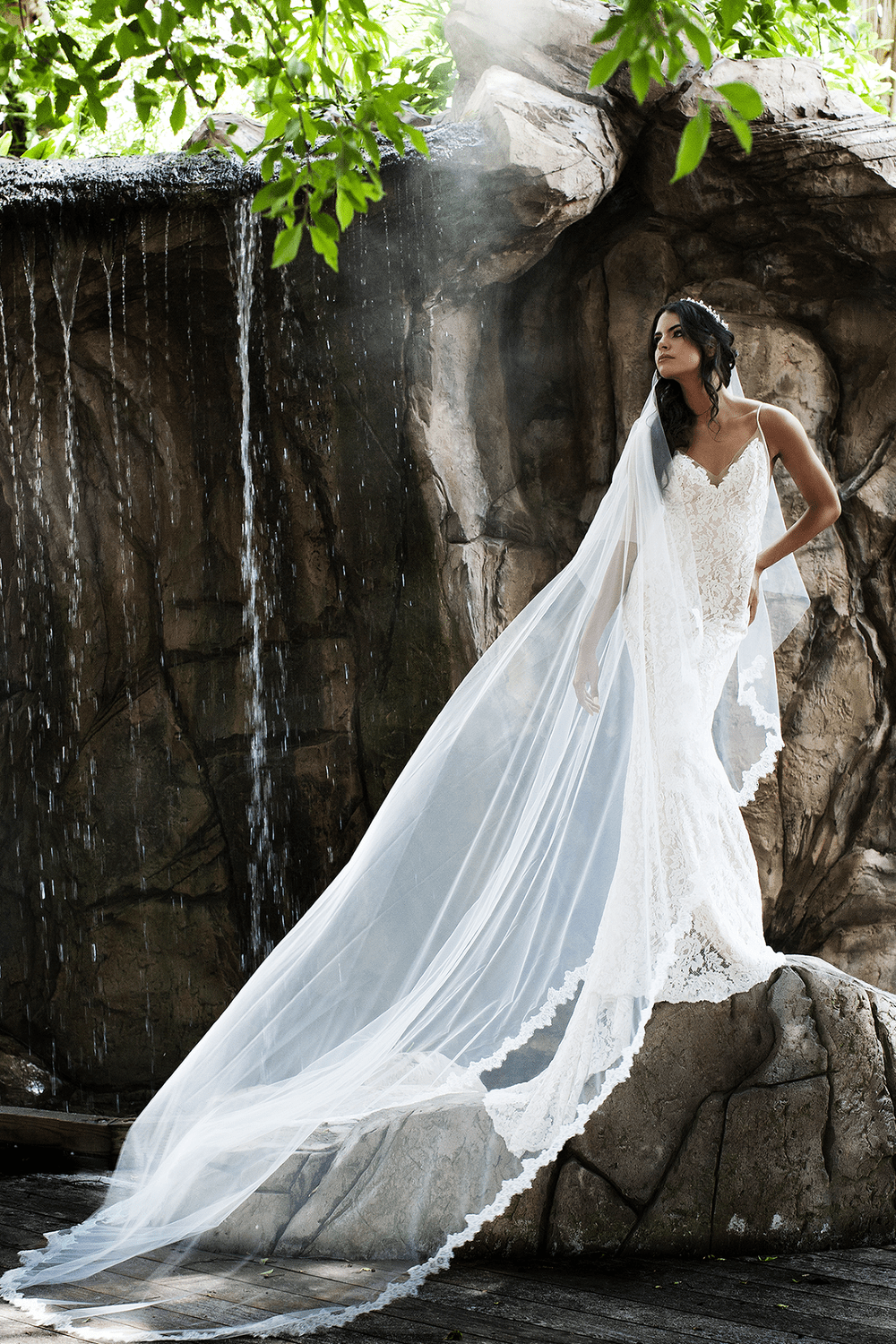 Monica by Toni Federici — Jaxon James