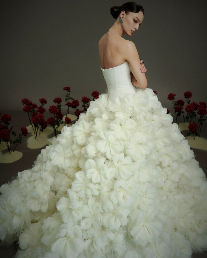 Screenshot 2026-02-19 112322.png