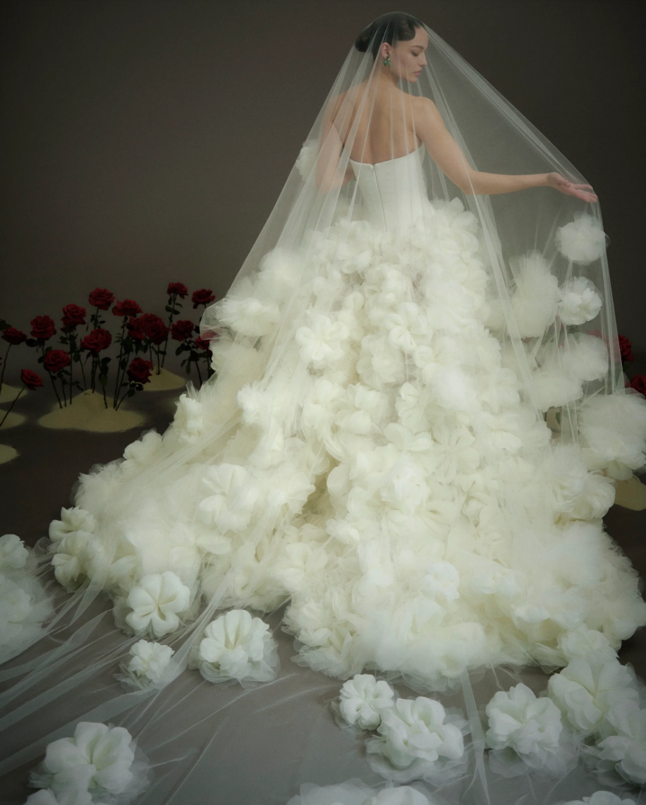 Screenshot 2026-02-19 113049.png