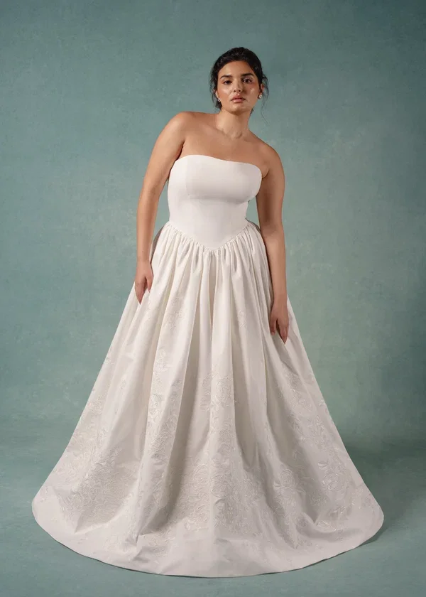 blue-willow-by-anne-barge-wedding-gown-st-charles.webp