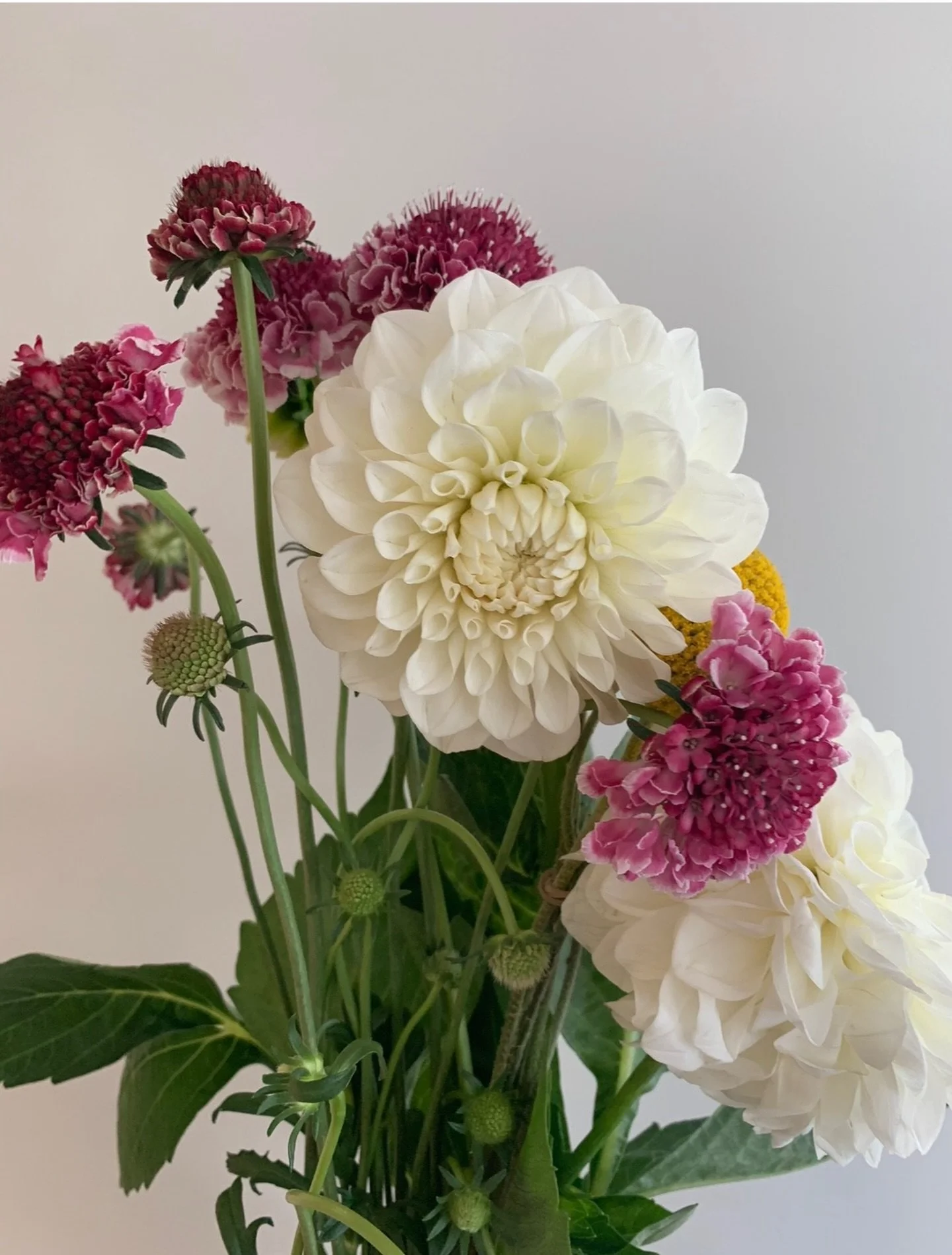 Flowers for happiness