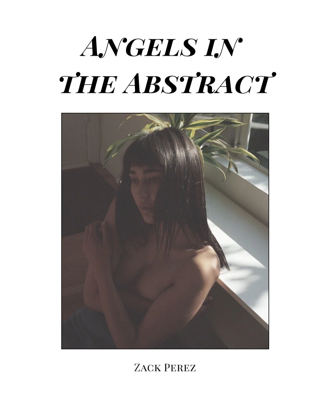Angels In the Abstract Softcover Book