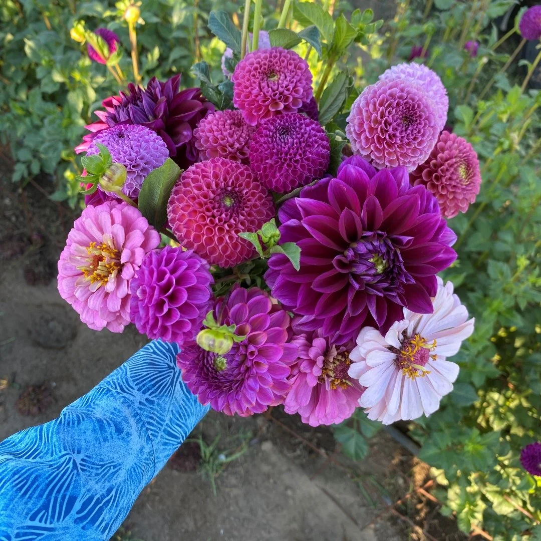 bouquet IMG_2467.JPG
