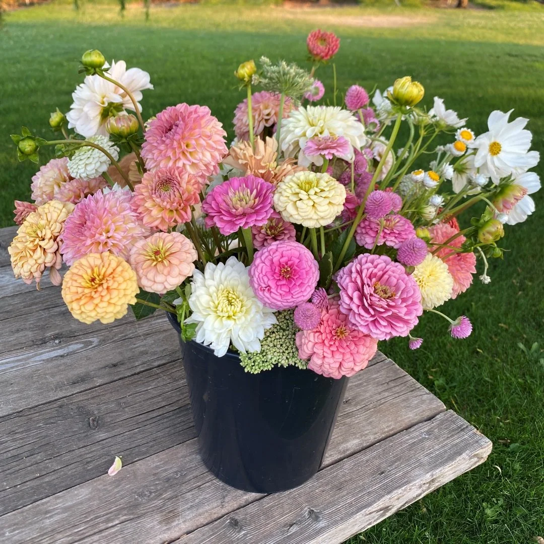 Bulk Bucket