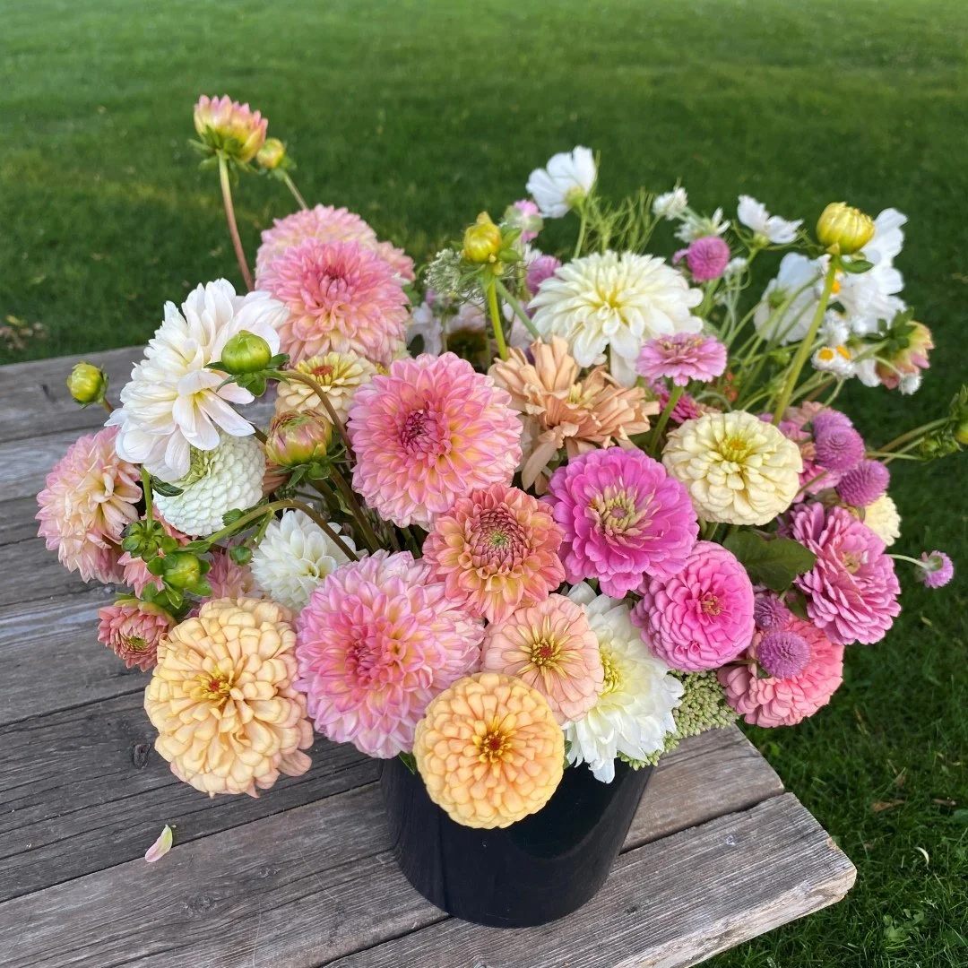 bulk pastel IMG_5478.JPG