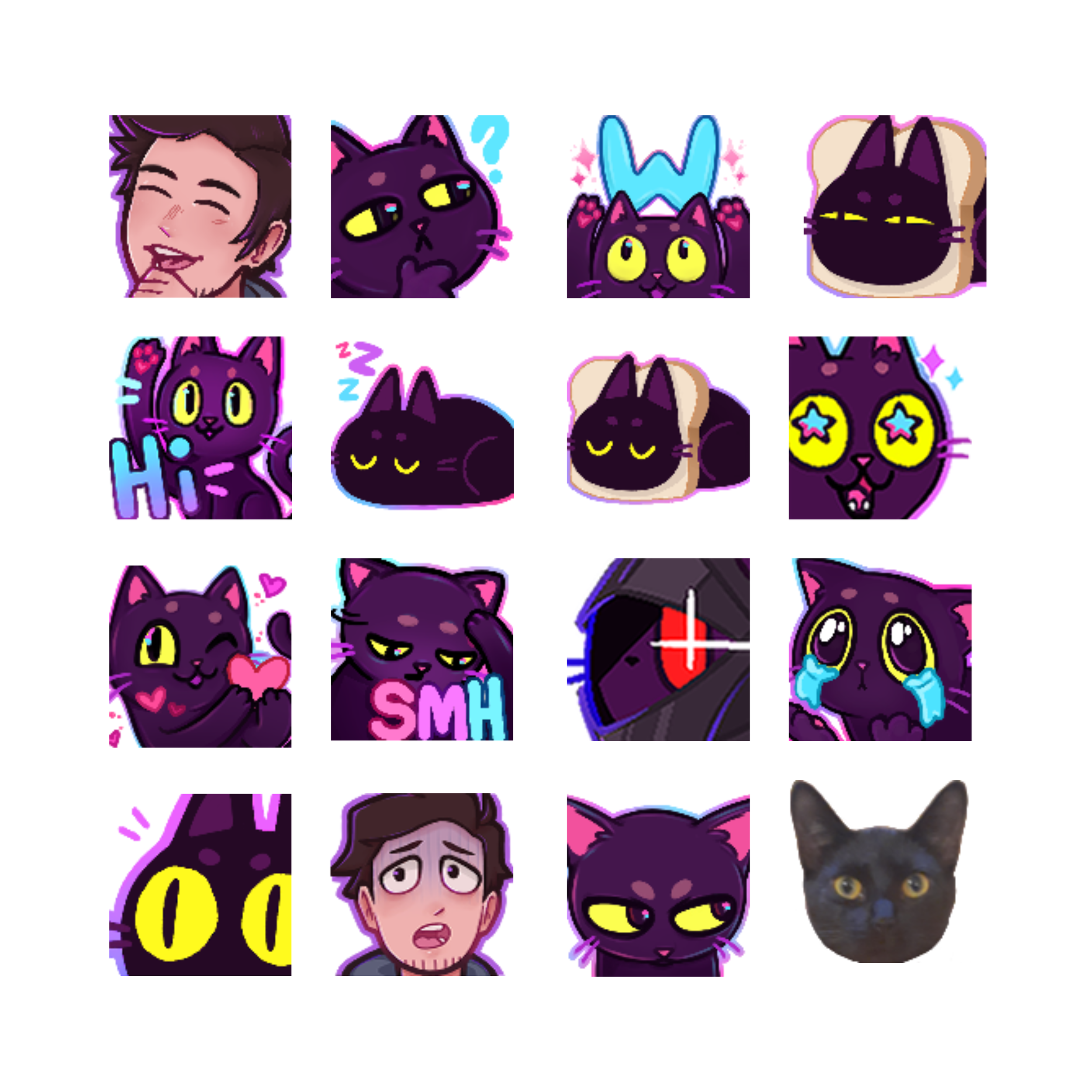 Bazinsky Emote Collage.png