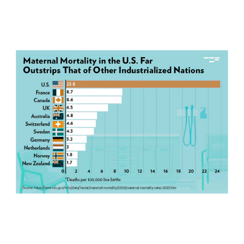 Maternal Mortality Stats