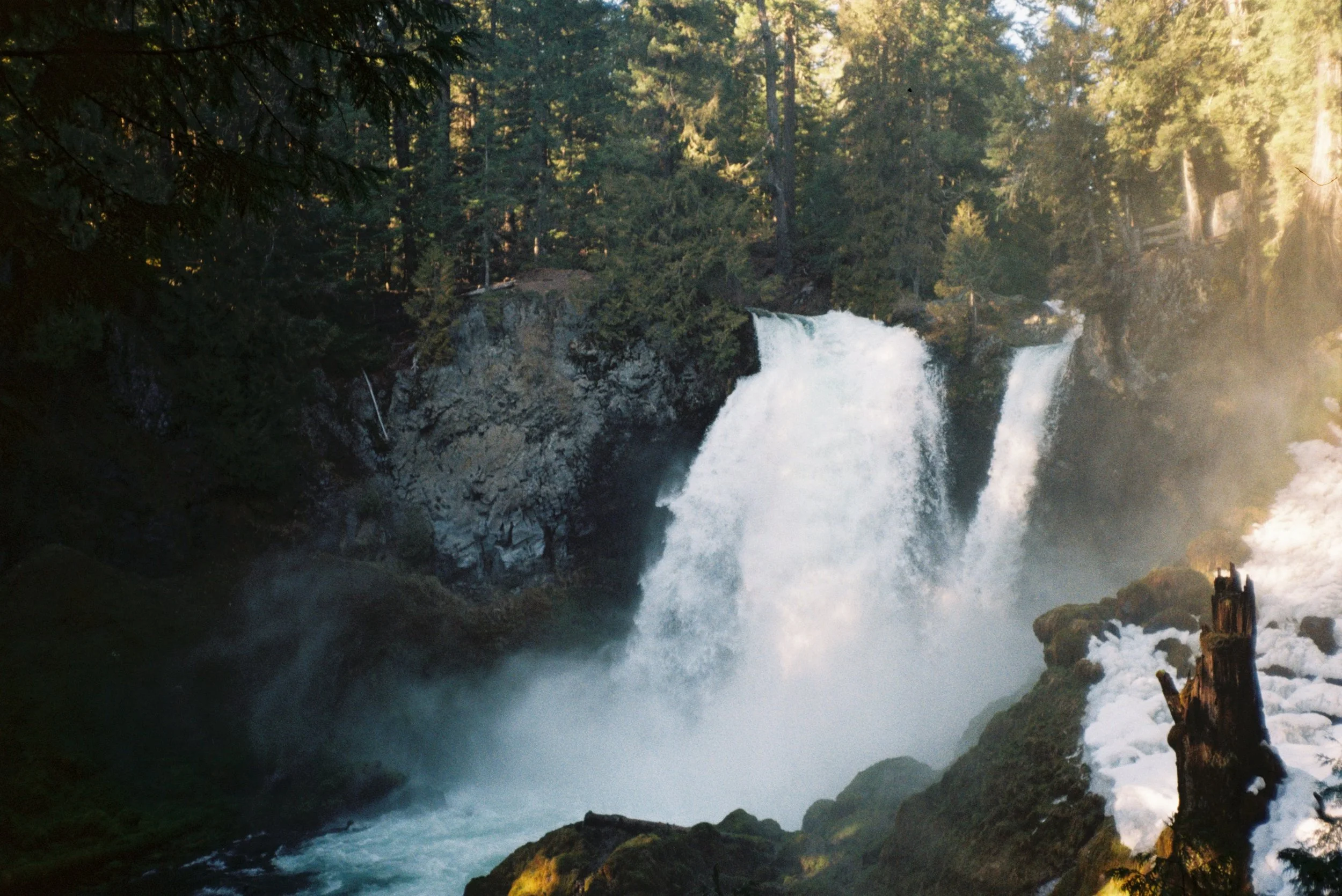  Koosah and Sahlie (shot by Gabriela) 
