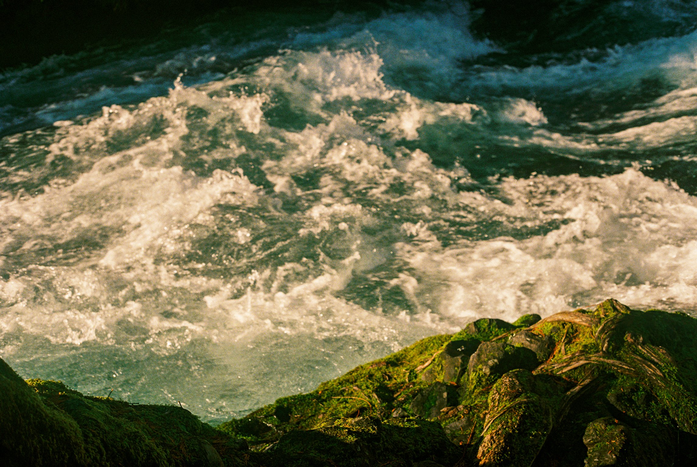 oregon_film-08.jpg
