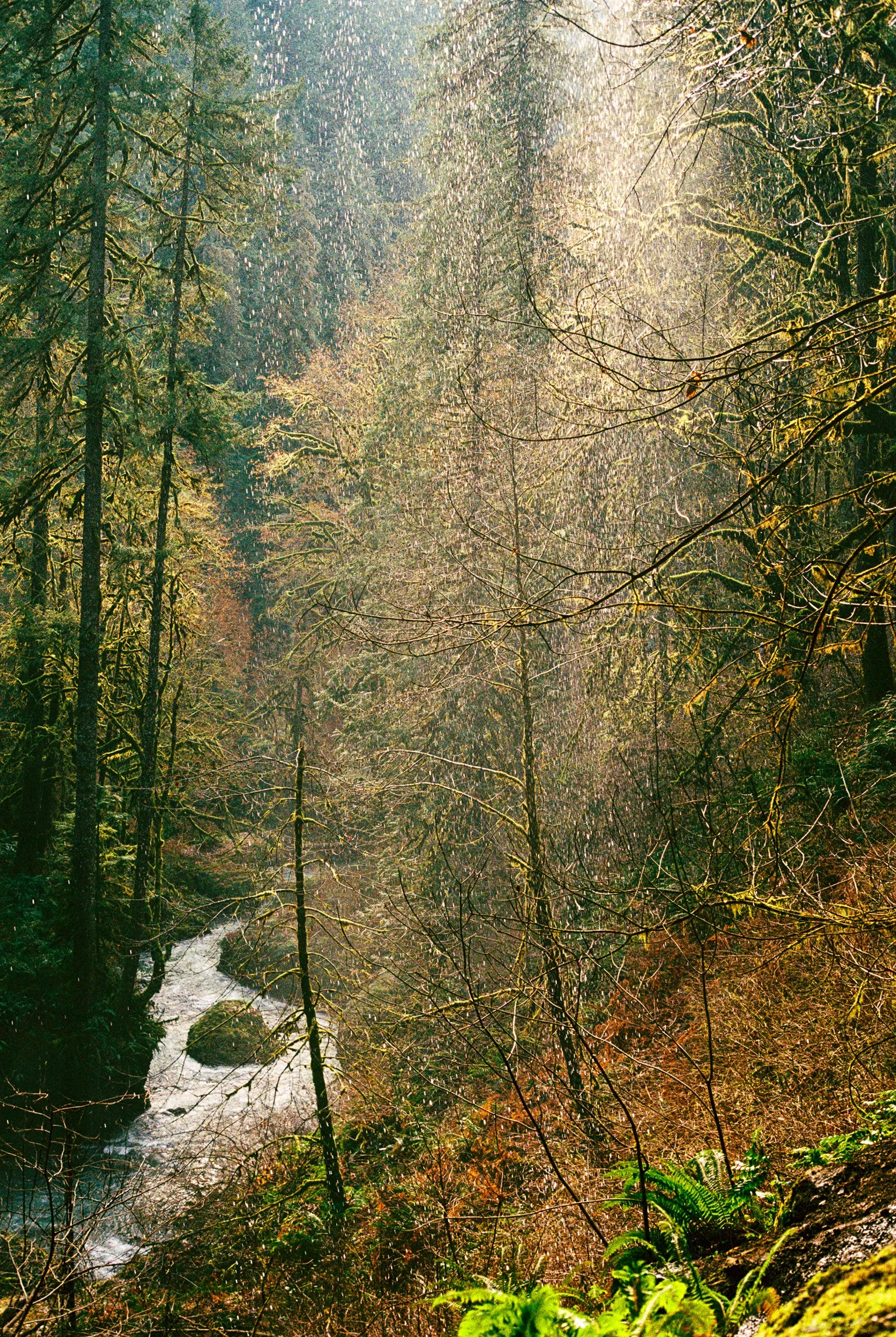 oregon_film-21.jpg