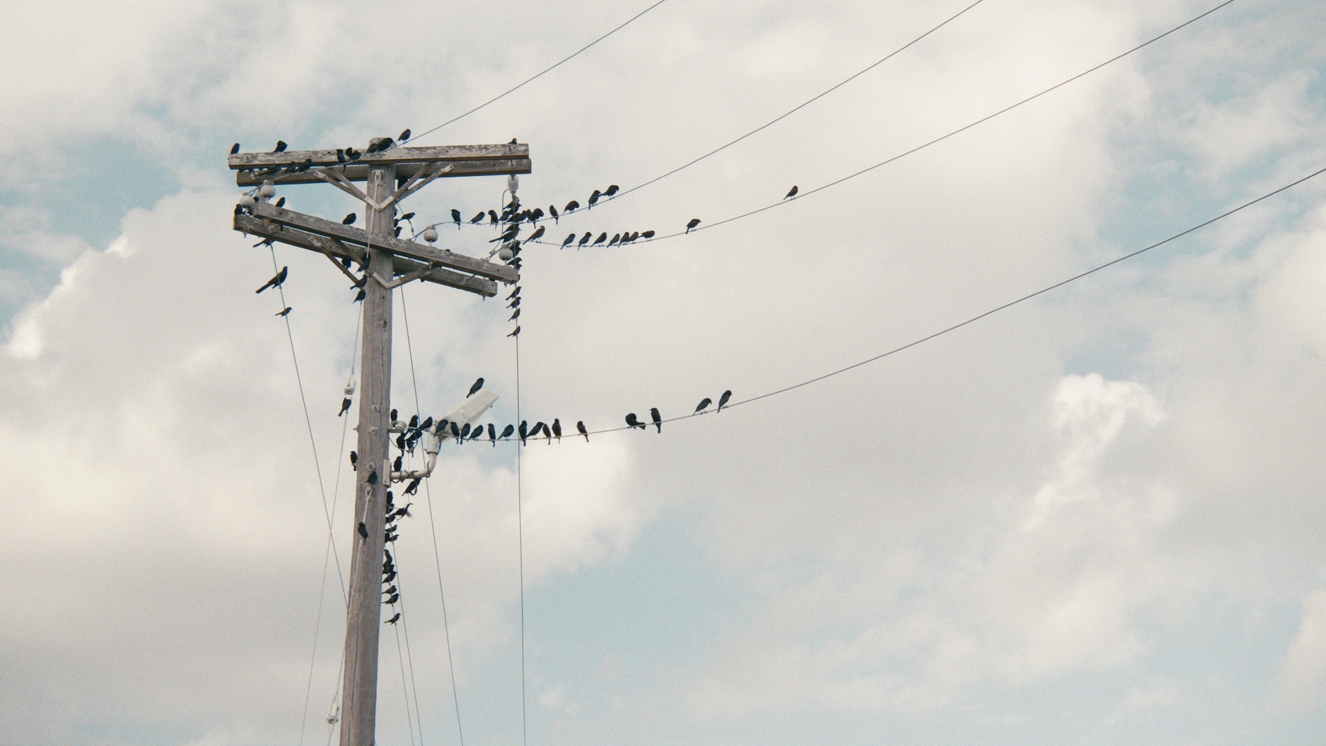 Documentary_Daniel Roberts_Mexico_06.png