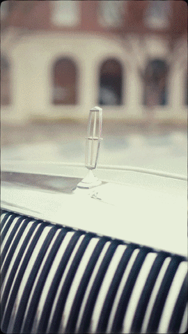 Social_Ben_LowRider No CA_01.gif