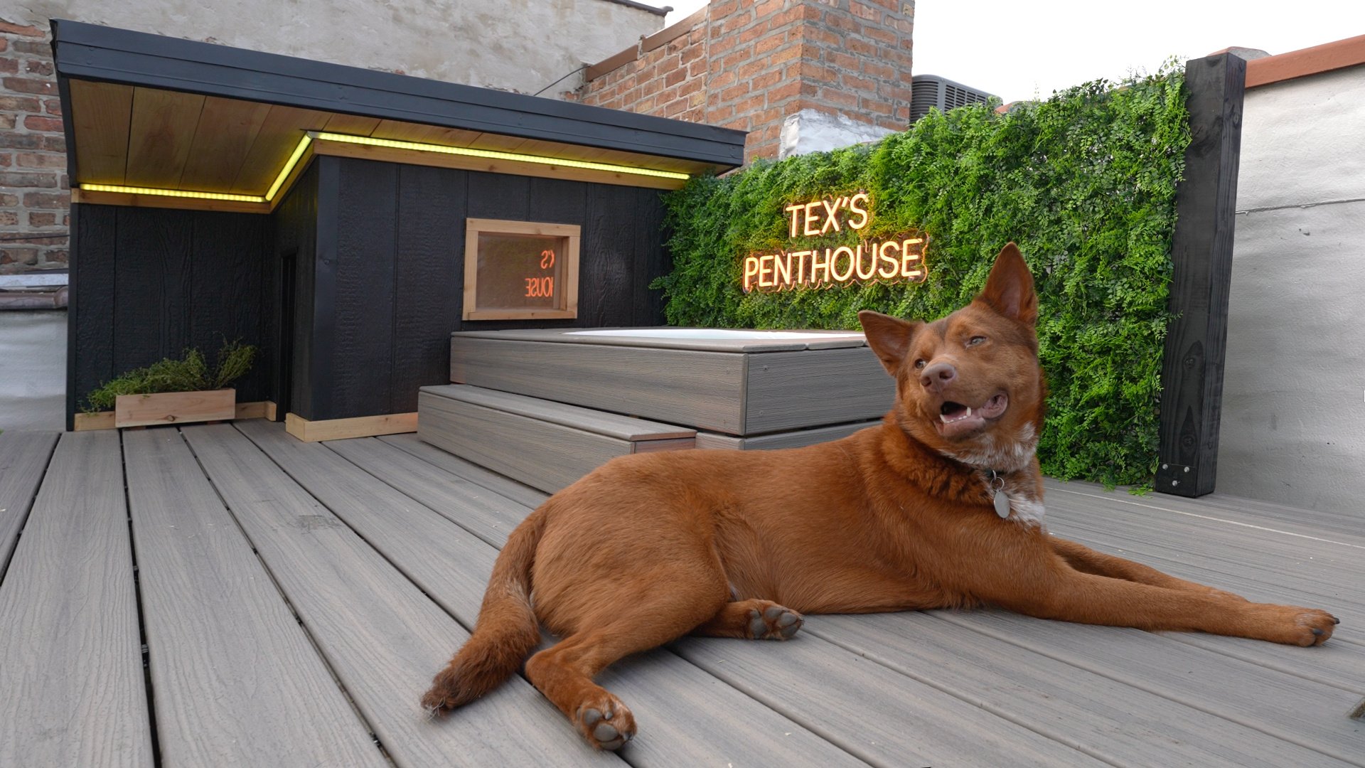 Beauty Shot 01 Screenshot 2023-07-26 at 4.33.46 PM.jpg