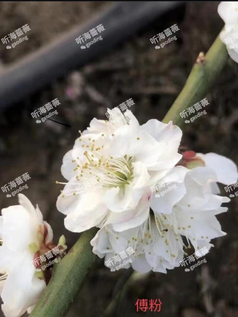 6b40b9c0-5b09-11ec-a24b-b9cc6058eb71_1024.png