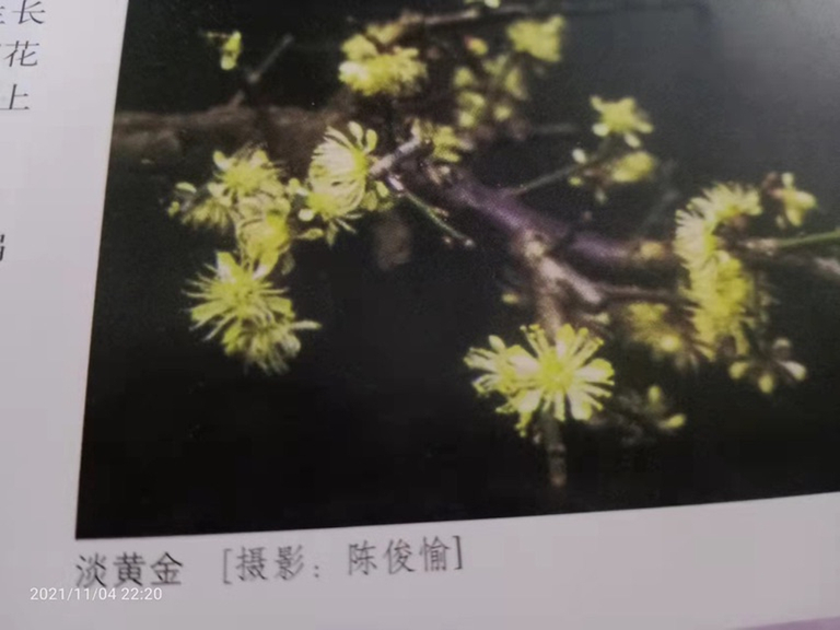 972eb030-5b0b-11ec-a241-357b87d3b385_1024.png