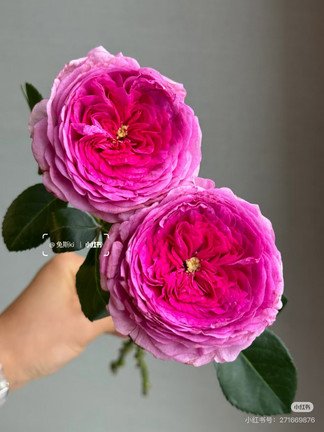 b2e39c50-b376-11f1-8aae-3ff9786980fd.jpg