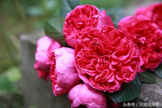 5f118930-99f7-11ed-8e6d-6faa50378bd5_1024.jpg