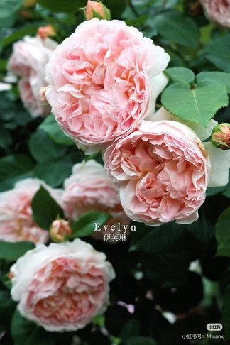 37ed3ad0-afc8-11f1-8aae-3ff9786980fd.jpg