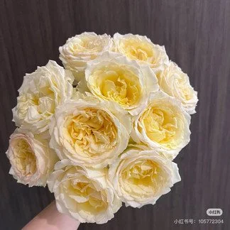 aa057000-e684-11f0-8a4d-35acd85c27cf.jpg