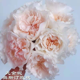 84ce4cf0-96d0-11ed-aa5d-2570f7880594_1024.jpg