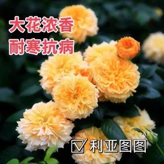 e7e7f200-7f46-11ee-9a81-33f5185f123f.jpg