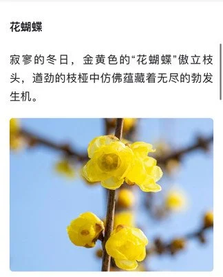 5c412910-7dde-11ee-b384-c58e94d24398.jpg