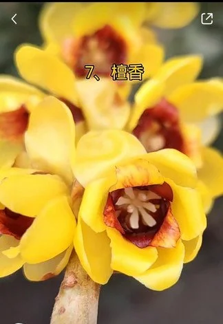 695ac740-7ddf-11ee-8d43-e9641a679e5f.jpg