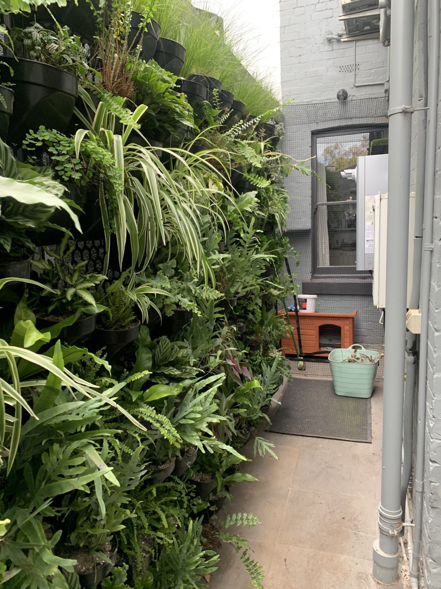 Oranssi previous project