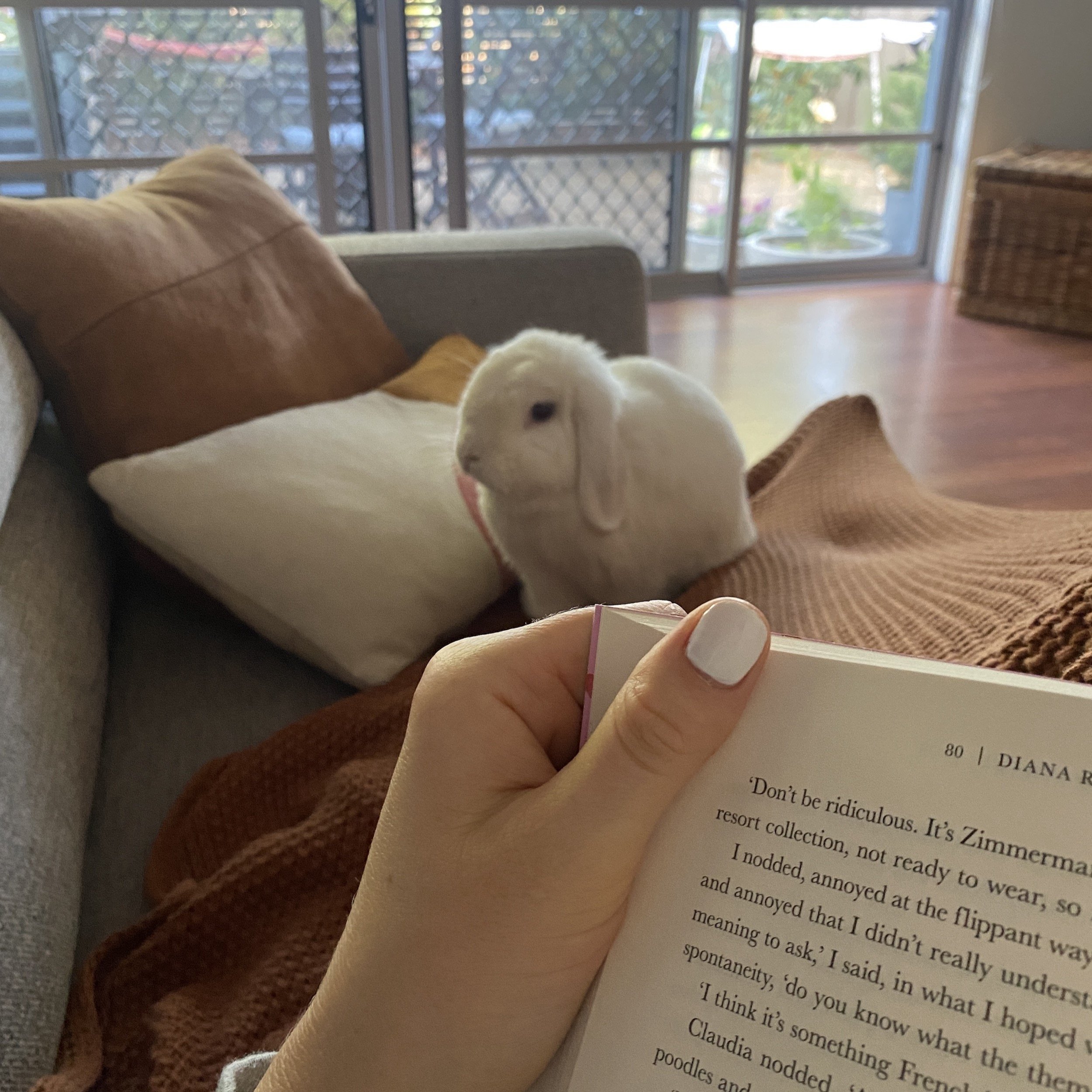 Muuuum, please put down the book - December 2021