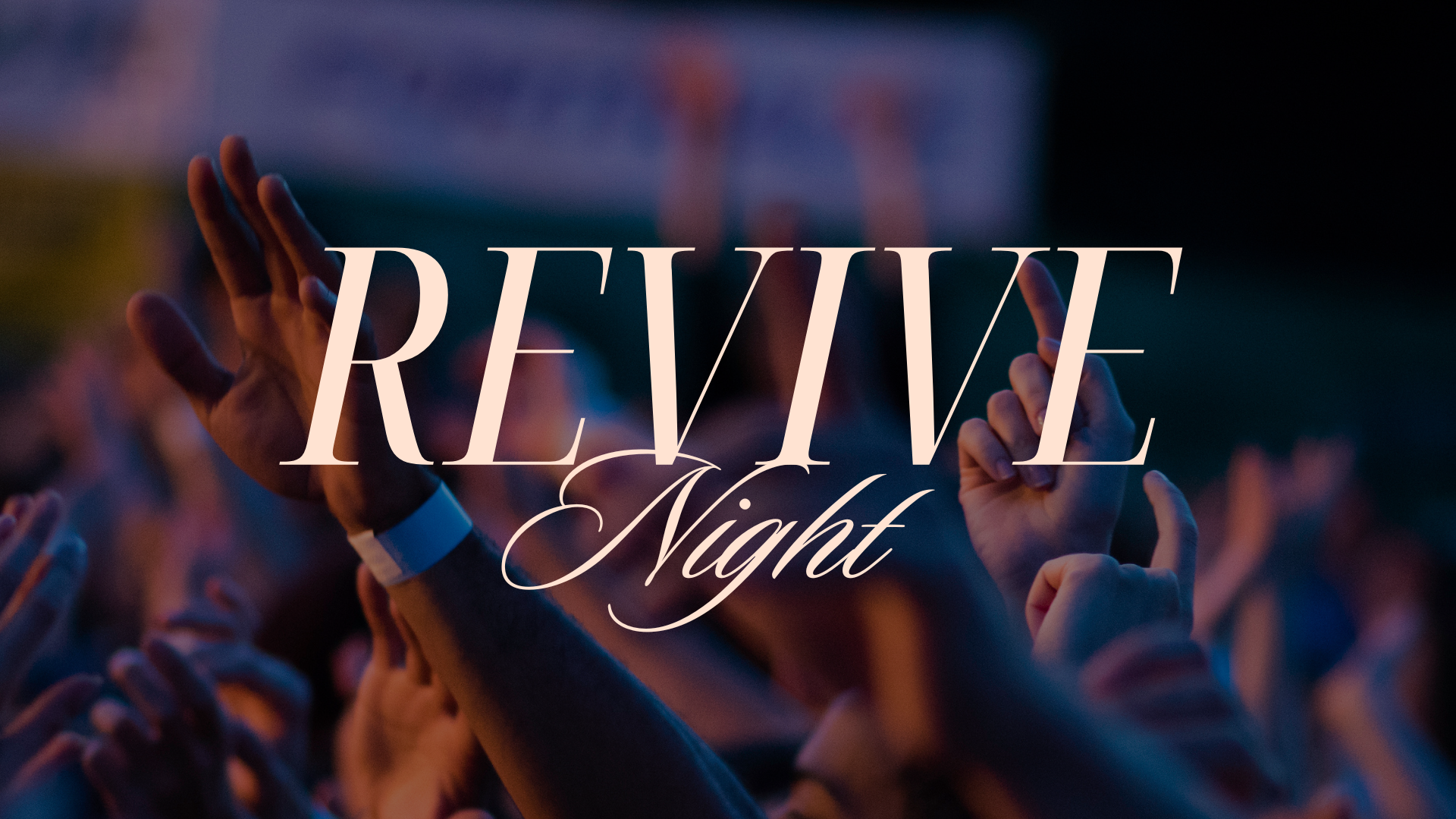 Revive Night