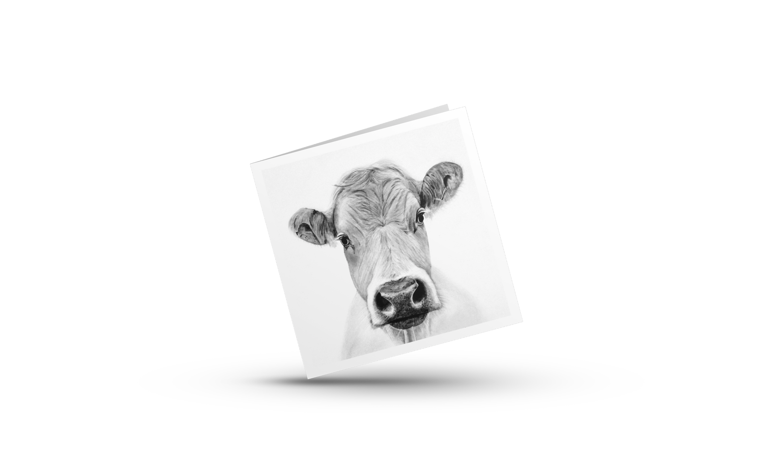Cow Greeting Card Square