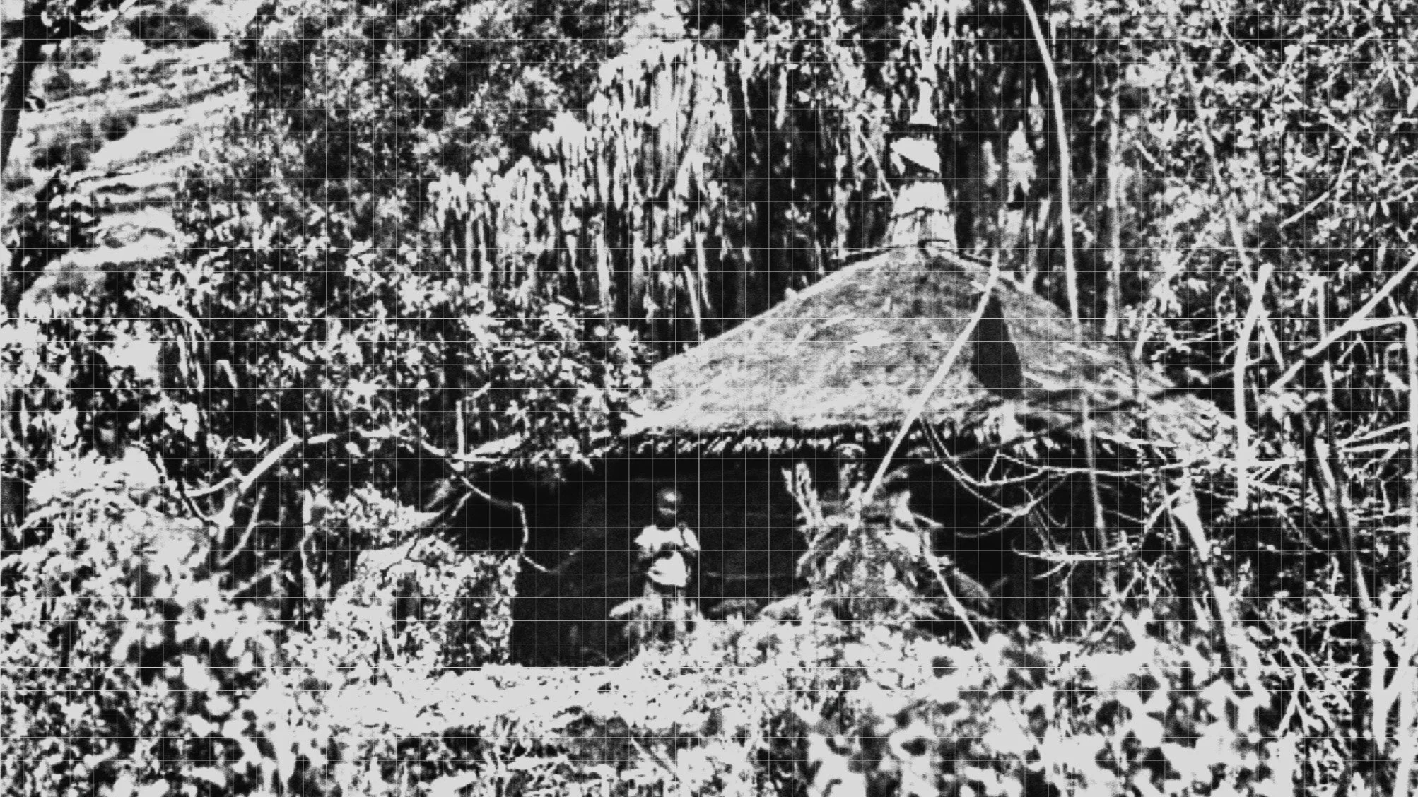 Thatch Housing