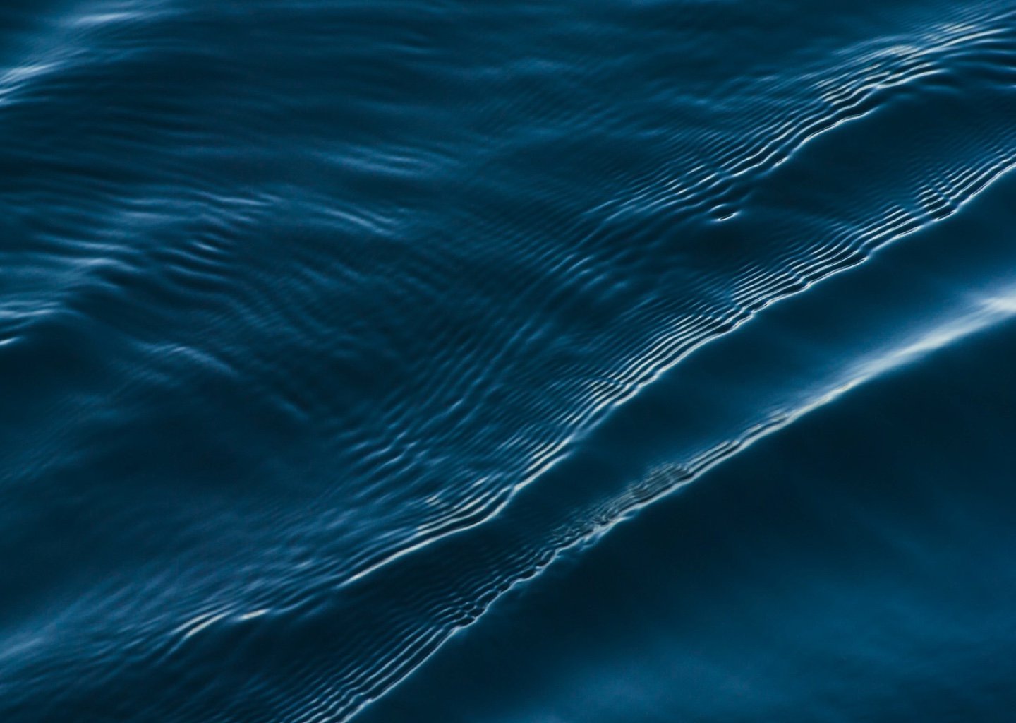 abstract 2 nature.jpg