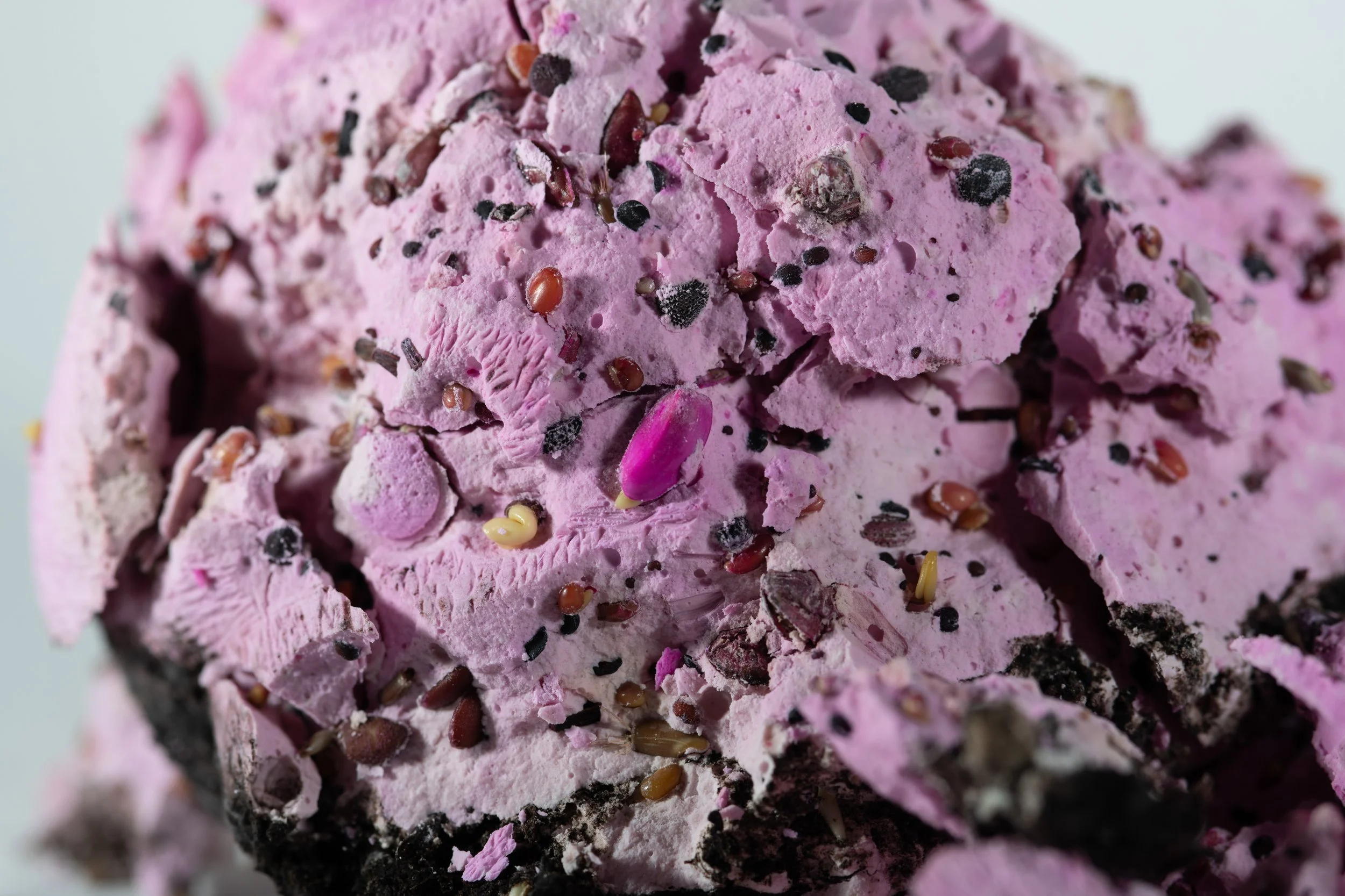 LUAP x Arts Council England /// Campaign /// CD, DD, D   [[In House]]