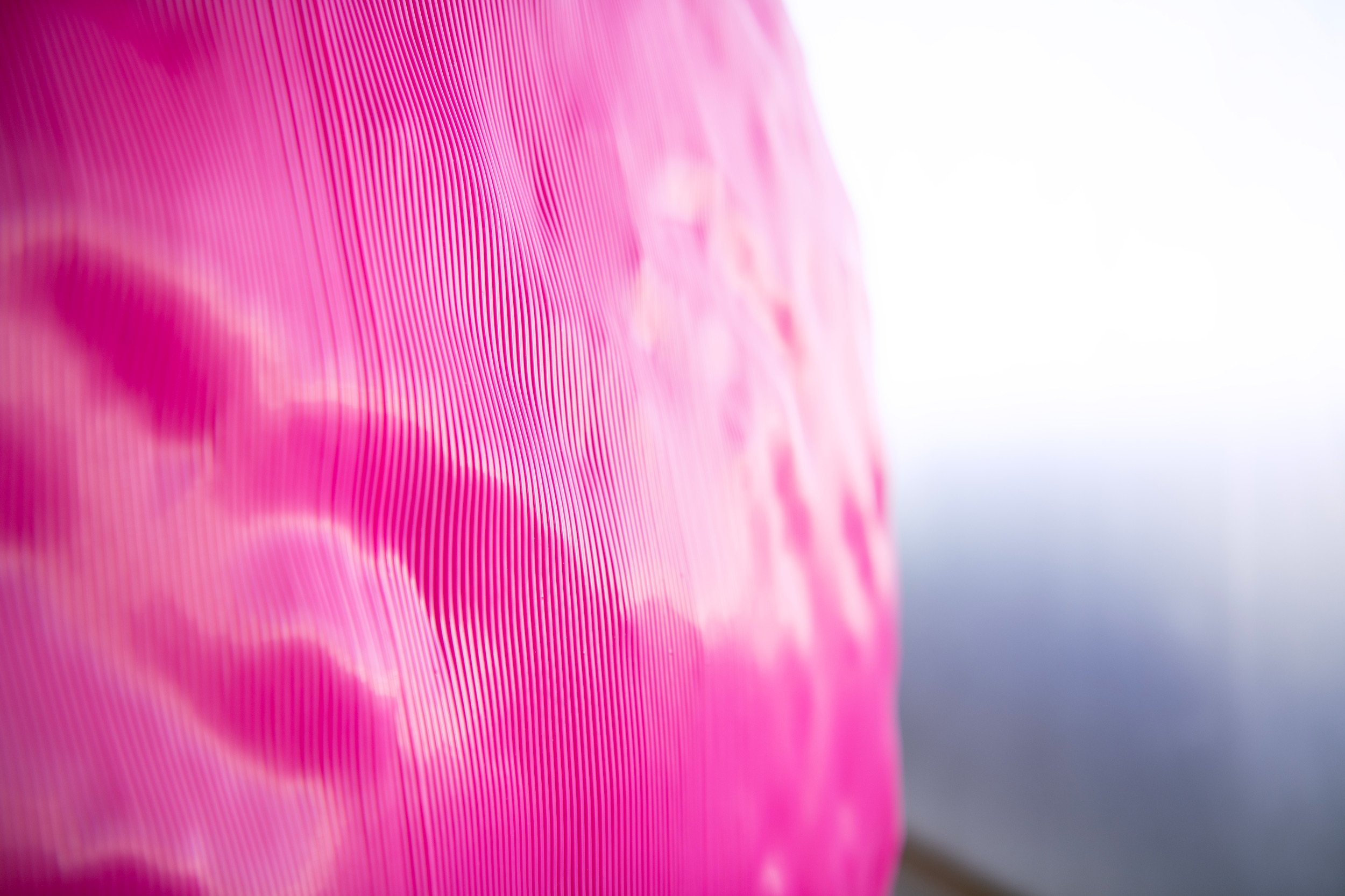 luap_pink_bear_pavillion_factory_visit_2024-1029-copy.jpg