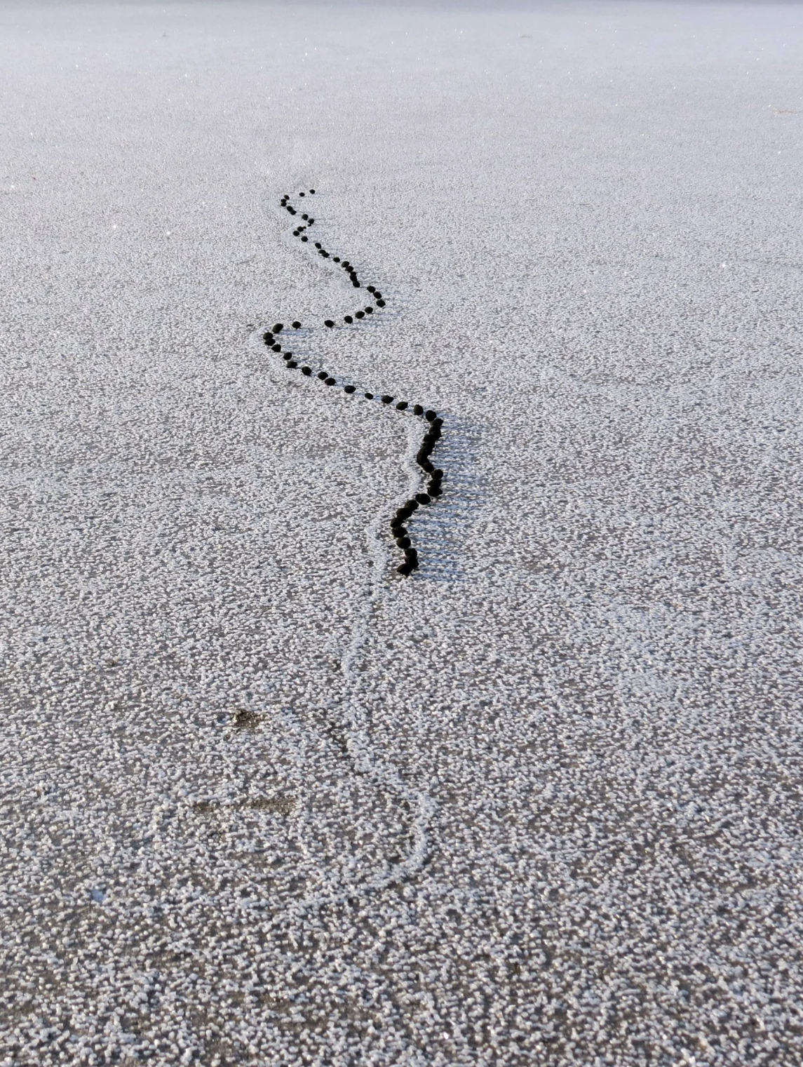 Lake Urmia; 2013