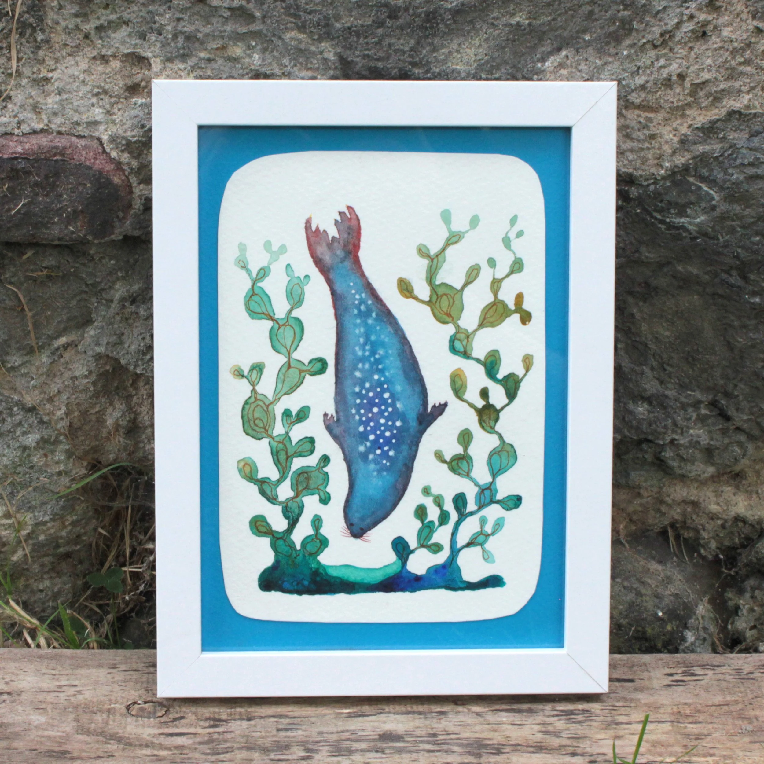 seal study III.jpg