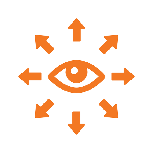 vision.png