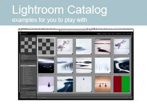 Lightroom-Advanced-Curves-5.jpg (Copy)