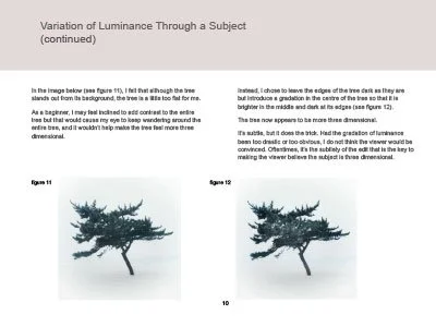 Creating-3D-Perception-12.jpg